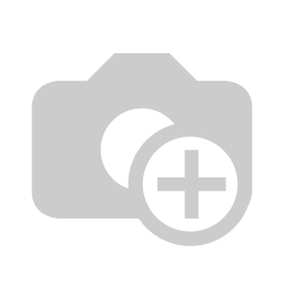 team - project manager